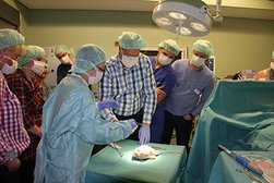Von Aortenscreening über Blutzuckermessung - Vorsorge kann Leben retten