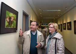 Eröffnung der neuen Fotoausstellung