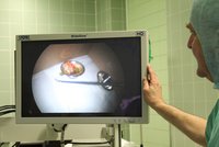 Doppelter Blick hinter die Kulissen
