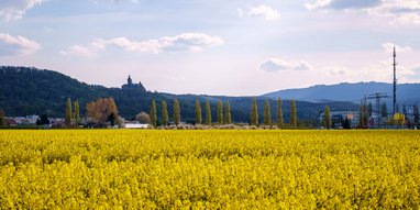 Wernigerode Praxis für Hals-Nasen-Ohrenheilkunde, Stimm- und Sprachstörungen