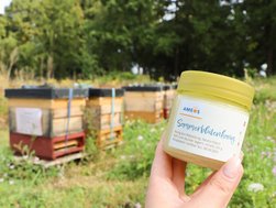 Honig im Glas aus Ratzeburg vor den Bienenkästen