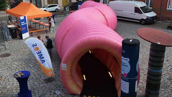 Einmal quer durch den Darm