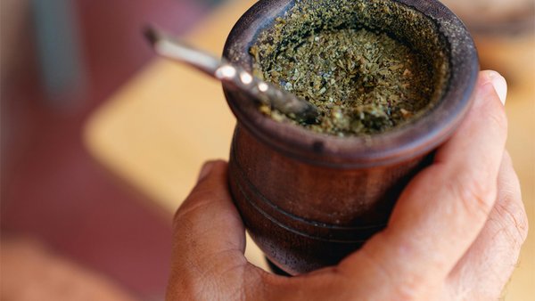 Der Run auf Ayahuasca