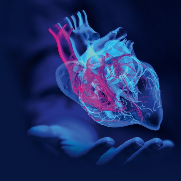 Neue Technologie in der Behandlung von Herzrhythmusstörungen
